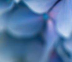Endometriosis and Pelvic Pain